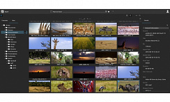 Оборудование Управление медиаресурсами - Media Backbone NavigatorX 