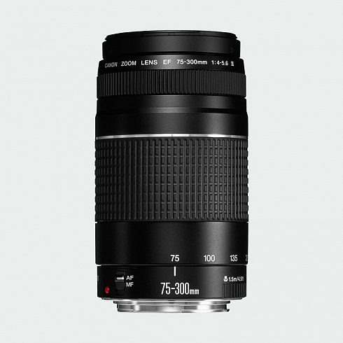 Оборудование Объективы для цифровых зеркальных камер EOS - EF 75-300mm f/4-5.6 III